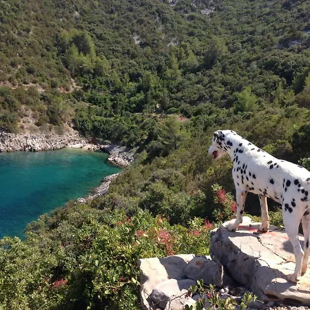 Pokrivenik Apartment Gdinj